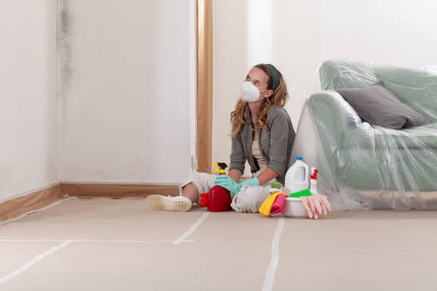 Reliable Mold Remediation contractor in Stanwood, WA by 24 Hour Mold Removal